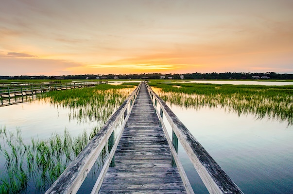 Chiropractic Care James Island SC